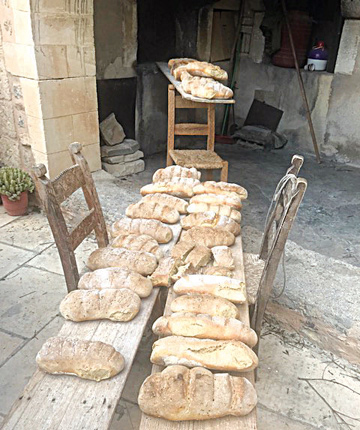 προζυμένια ψωμιά στην εκδήλωση που διοργάνωσαν στην Ιερά Μονή Τοπλού τα μέλη του Φεστιβάλ Κρητικής Κουζίνας και ο Πολιτιστικός Σύλλογος Αγίου Γεωργίου Σητείας «Οι Τουρτούλοι».