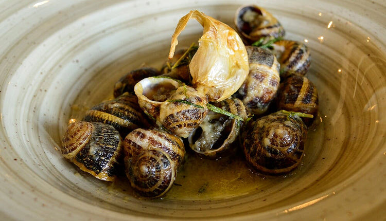 χοχλοί μπουμπουριστοί