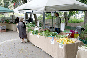 η λαϊκή των βιολογικών στο πάρκο