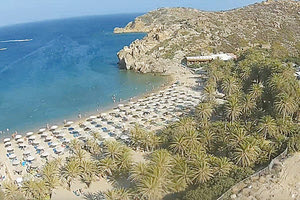 το Φοινικόδασος στο Βάι