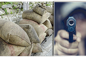 Οι ληστές των ελιών