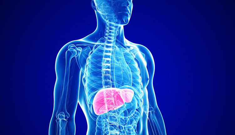 ΗΠΑΤΙΚΗ ΑΝΕΠΑΡΚΕΙΑ 