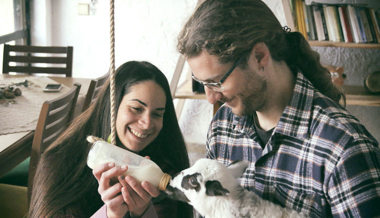 Η ιστορία της “Γιαννούλας” είχε συγκινήσει πολλούς όταν ο Ανδρέας είχε γράψει στην “Πατρίδα” πώς την έσωσαν και τη μεγάλωσαν. 