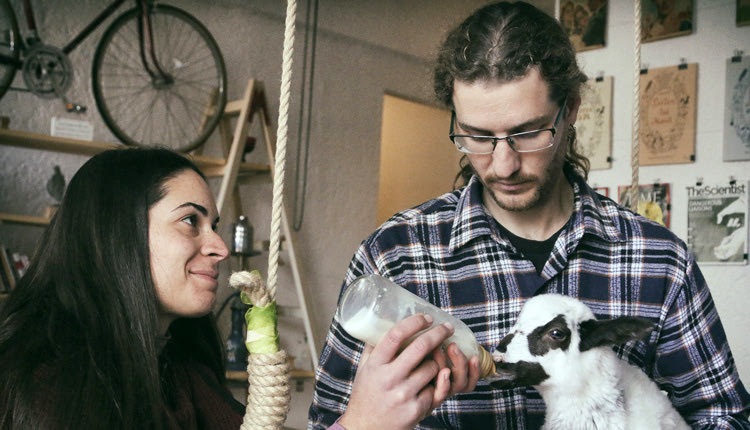 Η ιστορία της “Γιαννούλας” είχε συγκινήσει πολλούς όταν ο Ανδρέας είχε γράψει στην “Πατρίδα” πώς την έσωσαν και τη μεγάλωσαν. 