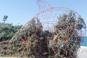 “Γλυπτά” φυτά στους δρόμους του Ηρακλείου: Το πρώτο πιλοτικό έργο στήθηκε σε χώρο πρασίνου της παραλιακής λεωφόρου