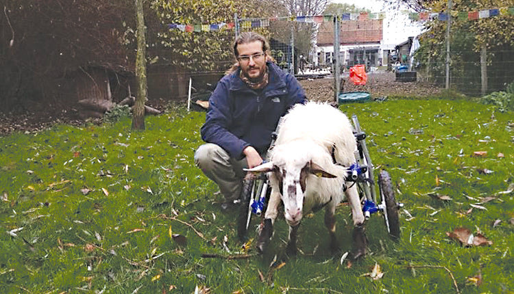 Προσαρμογή στο νέο περιβάλλον 