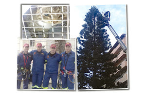 Επιτέλους κατέβασαν τον... Μηνά από το δέντρο
