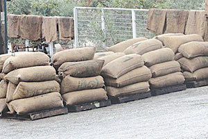 τσουβάλια ελιές