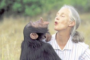 H διεθνούς φήμης πρωτευοντολόγος, ηθολόγος και πρέσβειρα Ειρήνης των Ηνωμένων Εθνών Dr. Jane Goodall