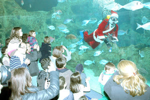 χριστουγεννιάτικες εκδηλώσεις στο Ενυδρείο Κρήτης