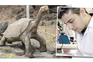 Ο αναπληρωτής καθηγητής του Τμήματος Βιολογίας του Πανεπιστημίου της Κρήτης και διευθυντής Μουσείου Φυσικής Ιστορίας, Νίκος Πουλακάκης αναμεσα στους  επιστήμονες απ’ όλο τον κόσμο μελέτησαν το DNA του Lonesome George σε μια προσπάθεια να φωτίσουν το γενετικό υπόβαθρο της μακρόχρονης ζωής