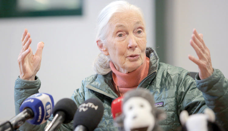 Η διεθνούς φήμης πρωτευοντολόγος, ηθολόγος και πρέσβειρα Ειρήνης των Ηνωμένων Εθνών, Dr. Jane Goodall από το Ηράκλειο