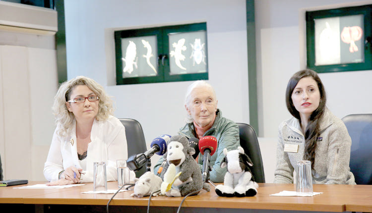 Με τη διευθύντρια της έκθεσης του μουσείου, κ. Λένα Μπορμπουδάκη, και την κ. Άννα Κατωγυρίτη, από το Jane Goodall's Roots & Shoots Greece