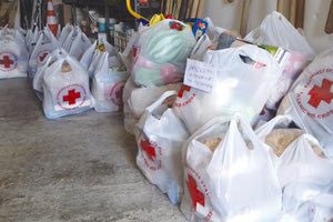 Το Σώμα Εθελοντών Σαμαρειτών και Ναυαγοσωστών Μοιρών του Ελληνικού Ερυθρού Σταυρού μοίρασε 40 πακέτα με είδη σίτισης αλλά και παιχνίδια