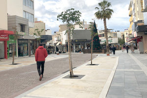 Στην οδό Ίδης