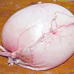 Δείτε όλα τα άρθρα από το χρήστη Ιωάννης Καλουμενίδης