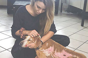 Από το σύγχρονο Άουσβιτς στην αγκαλιά της Κατρίνας