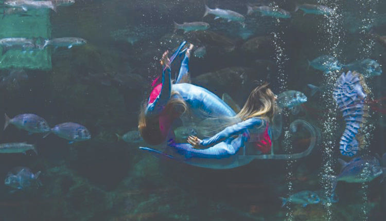 Τα Θεοφάνια στο Ενυδρείο