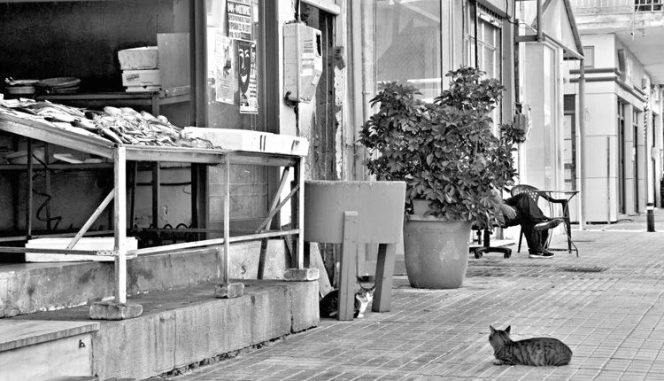 Φωτογραφίες από τον “θηρευτή των εικόνων” Κωνσταντίνο Γ. Καζανάκη