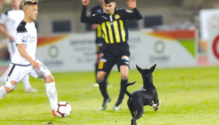 ΕΡΓΟΤΕΛΗΣ-ΟΦΗ 