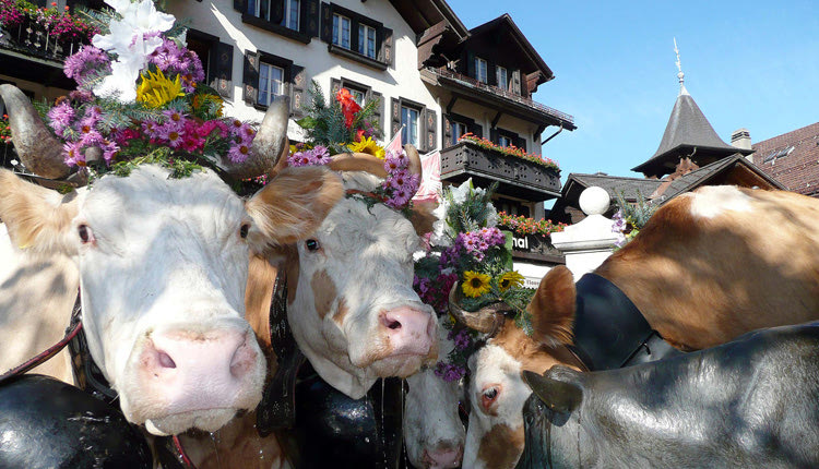 Γκστάαντ - τοπικά προϊόντα