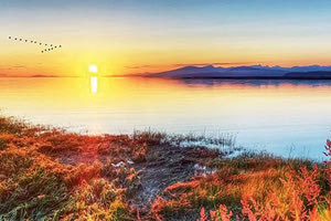 αλκυονίδες μέρες