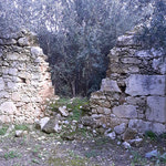 Δείτε όλα τα άρθρα από το χρήστη Νεκταρία Σπυριδάκη
