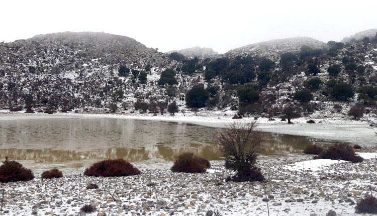 Μαγικές εικόνες στον Ομαλό Βιάννου 