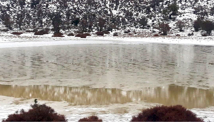 Μαγικές εικόνες στον Ομαλό Βιάννου 