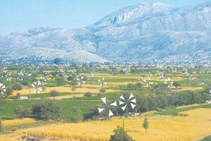 ΑΝΕΜΟΜΥΛΟΙ - ΟΡΟΠΕΔΙΟ