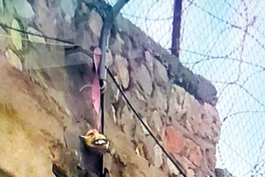 Έφυγαν σαν κύριοι από τον Κορυδαλλό