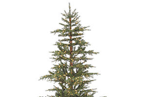 Μην πετάξετε το φυσικό χριστουγεννιάτικο δέντρο, ανακυκλώστε το!