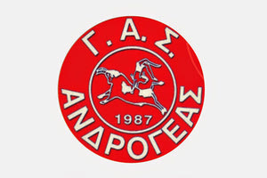ΓΑΣ-ΑΝΔΡΟΓΕΑΣ