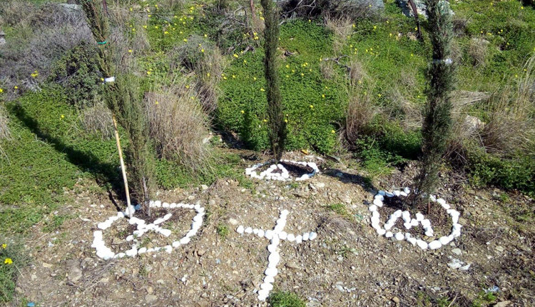 Οι συγγενείς των 3 θυμάτων που χάθηκαν άδικα πριν από ένα χρόνο σε τροχαίο στον ΒΟΑΚ στο ύψος του κόμβου της Αγίας Πελαγίας, φύτεψαν 3 κυπαρίσσια στον τόπο της τραγωδίας