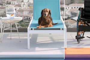 εκστρατεία που έχει στόχο την ευαισθητοποίησης των μαθητών απέναντι στα ζώα και προβολή της φιλοζωικής ταινίας με τίτλο «Re–Action»