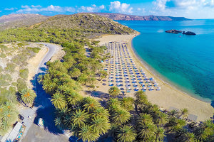 το φοινικόδασος στο Βάι