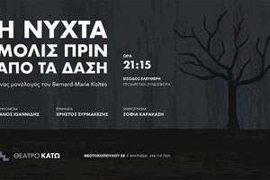 «Η νύχτα μόλις πριν από τα δάση»  στο θέατρο ΚΑΤΩ
