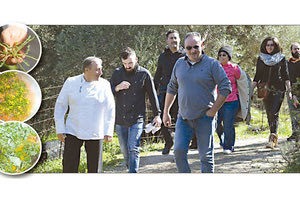 Τα βουνά πήραν αυτές τις ημέρες 16 σεφ από όλη την Ελλάδα και με τις οδηγίες του γνωστού σεφ Γιάννη Μπαξεβάνη μαθαίνουν να μαζεύουν άγρια χόρτα και μυρωδικά και να τα μαγειρεύουν.