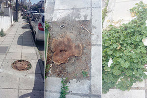 Μετά τον ξυλοφάγο, έρχεται ο... πρεμνοφάγος για τις μουρνιές