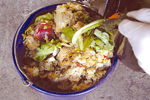 Επιστήμονες από τα Ιδρύματα της Κρήτης ενώνουν τις δυνάμεις τους και μετατρέπουν τα υπολείμματα τροφών σε βιοδιασπωμένα πλαστικά