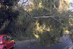 Καταστροφές από το κύμα κακοκαιρίας στην Ιταλία
