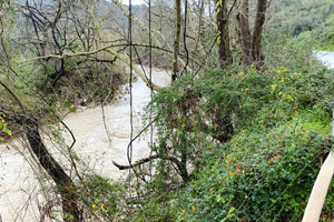 Το σημείο όπου βρέθηκε νεκρός ο 61χρονος