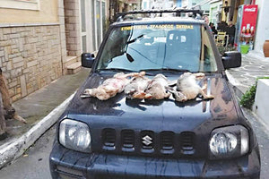 εκποίηση παράνομης θήρας στην πλατεία Σητείας