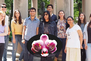 Με γνώσεις από το Ηράκλειο έφτιαξε το... άλλο τρανζίστορ ο μεταδιδακτορικός ερευνητής Γιώργος Σπυρόπουλος 