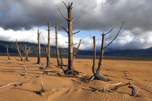 Δραματικές κλιματολογικές αλλαγές απειλούν τον πλανήτη μας