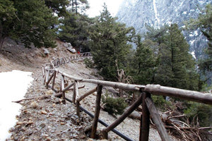 Μικρότερης έκτασης από το αναμενόμενο οι καταστροφές στο φαράγγι της Σαμαριάς