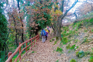 Μαθητική πεζοπορία