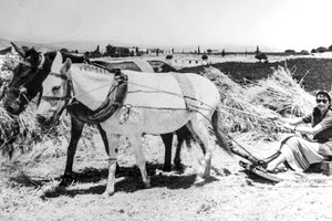 ΦΩΤΟ ΗΜΕΡΑΣ: Μία μοναδική φωτογραφία στον βολόσυρο!