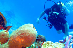 καταδυτικά πάρκα