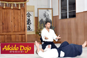 Το Aikido Dojo Ηρακλείου στην Ιαπωνία